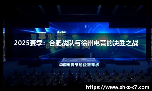 2025赛季:合肥战队与徐州电竞的决胜之战